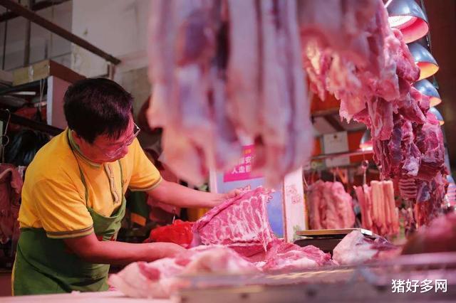 8月15日生豬價格企穩，儲備肉來勢洶洶，下半年進口肉還將增多！-圖3