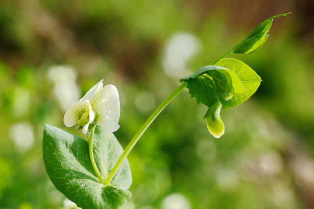 生肖|到了12月， 3生肖霉运全走开，横财奖金在握，喜鹊喜事入宅！