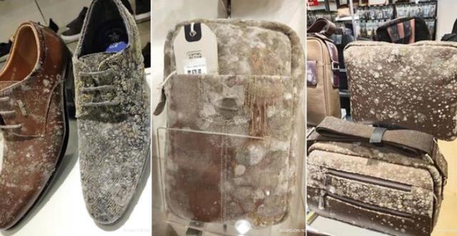 小姐姐■法国学生异地隔离留下一包土豆,三个月后回家:屋子竟被“攻占”