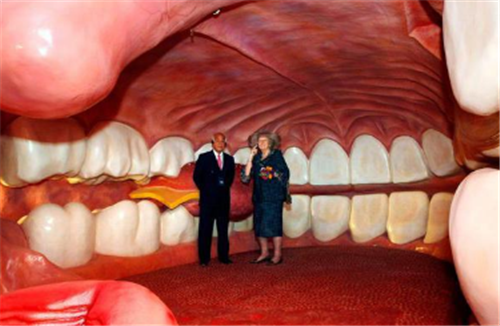 人体博物馆|全球唯一一座人体博物馆，从子宫到牙齿都非常逼真，女孩6岁以下不能进