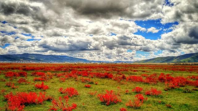 云南|28个最适合9月出行的地方,去邂逅第一场秋色!