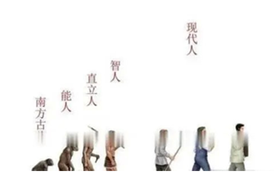 科学家|人由206块骨头组成，而中国人只有204块，缺的地方很独特！