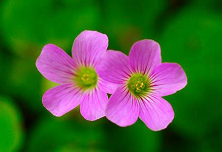 「最后一周」4月最后一周，鸿运当头，财情双得的3个星座