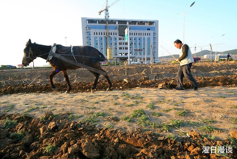 农村耕地上怎么建起了房子？