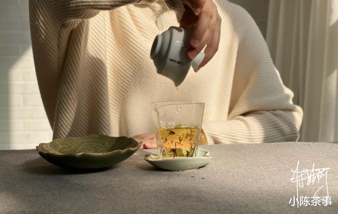 小陈茶事 资金充裕型、精打细算型、量体裁衣型,预算不同该如何挑选白茶?