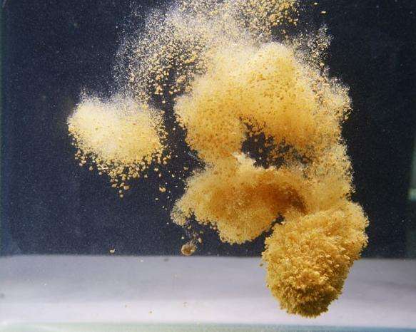 「」手竿垂钓常犯的错误，看看你有没有这样的经历