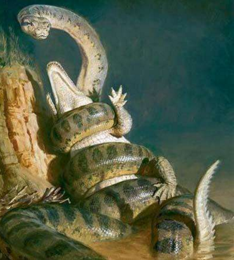 【生物学家】比13米帝鳄更长的泰坦巨蟒，是地球上最长的生物吗？