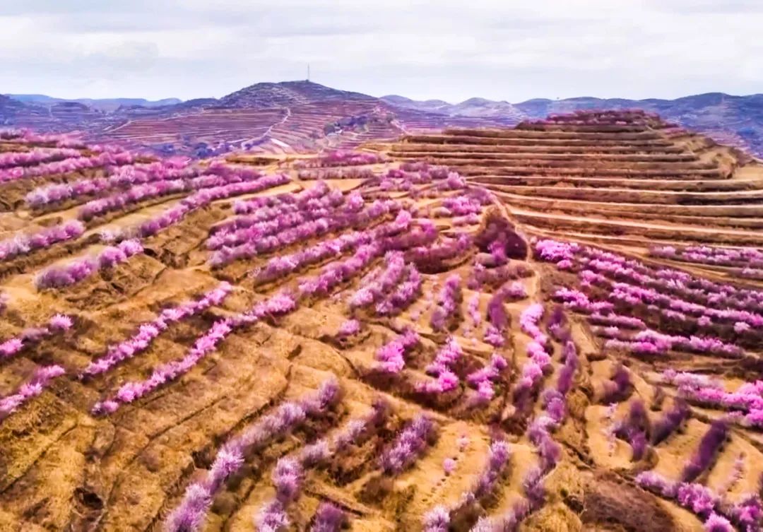 绿色长城|绿了！中国还是绿起来了！！！