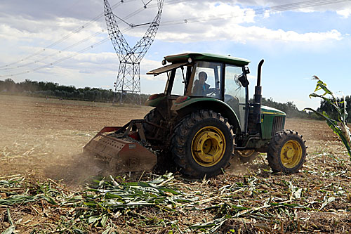 乡村轶事|未来3个月，农村这件事进入“严查期”，最好别干，免得惹麻烦