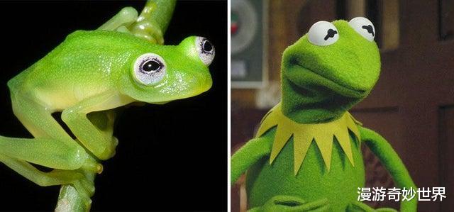 @30张活久见的照片，看完层次又提升了！