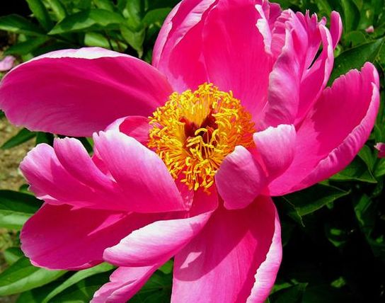 |进入9月，4属相财源滚滚，事业更上一层楼，日子风生水起