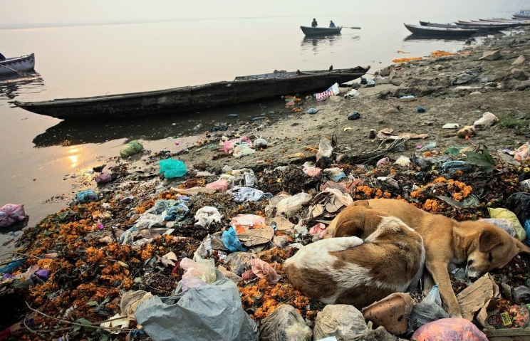 沙滩|印度拥有7500多公里的海岸线，为何没有像样风景区或沙滩浴场