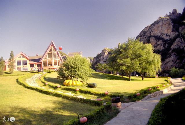 生肖▲5月上旬成功转大运，霉运退去，横财连旺到年底，钱财不愁3生肖