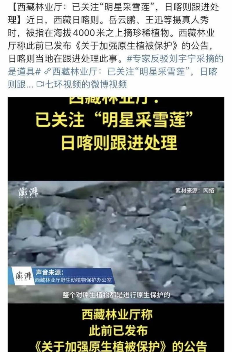 极限挑战|极限挑战节目组道歉了,可那颗雪兔子再也回不来了