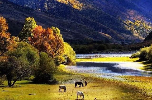 自驾|4条最适合国庆自驾的路线,约上三两好友出发吧!