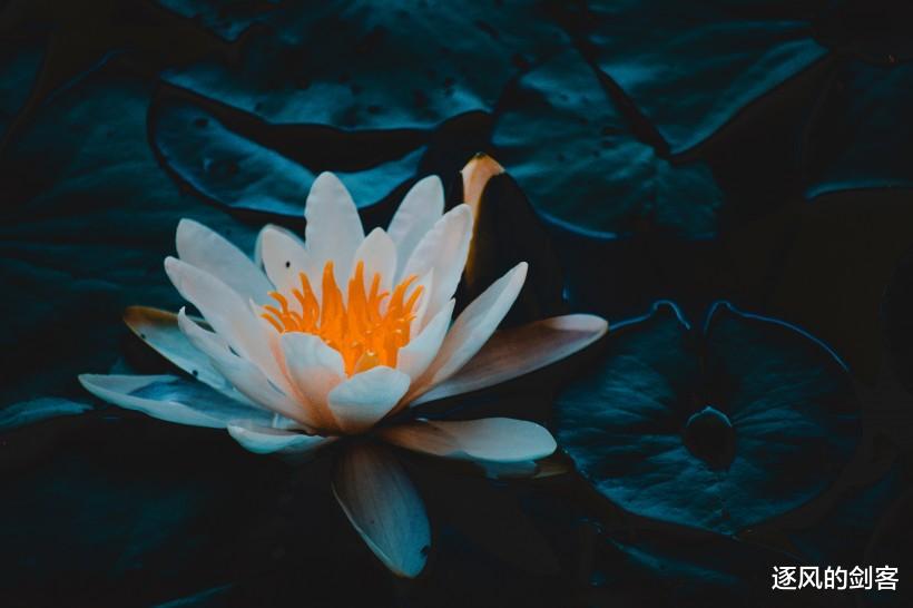 生肖|七月中下旬,横财大发,工作一顺百顺,人穷志不穷的四大生肖