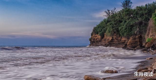 生肖|11月，前任回头，被爱包围，3生肖甜蜜幸福，相依相偎，余生不再分开