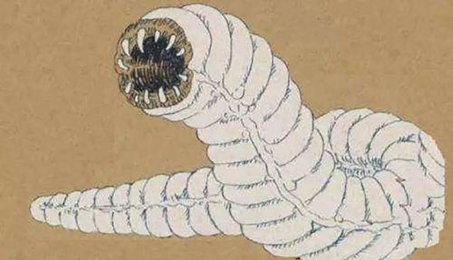 『毒液』蒙古“死亡之虫”神出鬼没,喷毒液放闪电,探险家冒死探寻真相