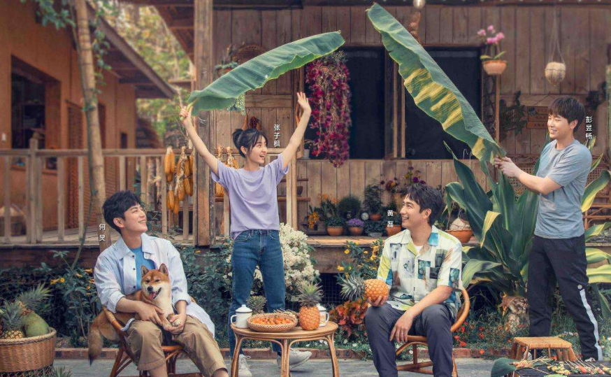 『综艺节目』综艺节目有个怪圈，《极挑》《往生》全中招，只有《跑男》例外