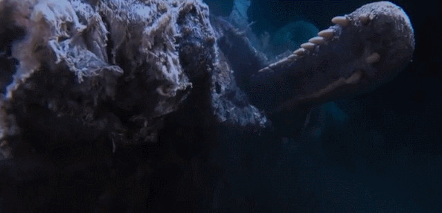 『鲸落』中国南海首次发现鲸落：一鲸落，万物生！这是世界上最浪漫的死亡