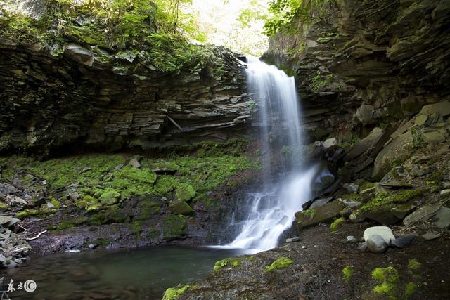 『』5中下旬，桃花运走俏，横财运连涨，事业爱情双丰收的3大生肖