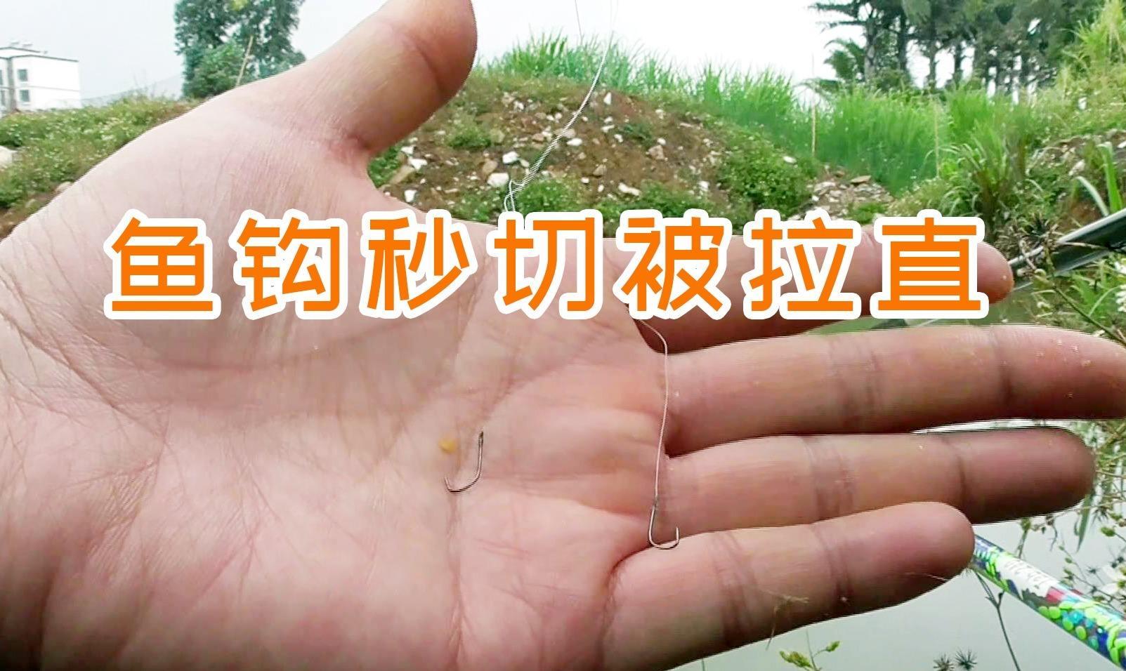 『鲫鱼』大鱼吃钩总在不经意间，为何别人能钓获大鱼，而你经常切线断钩？