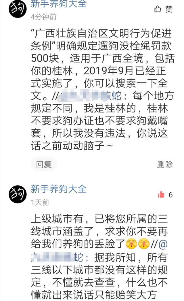 三线以下城市遛狗都不需要栓绳？非著名宠物博主与粉丝开杠了