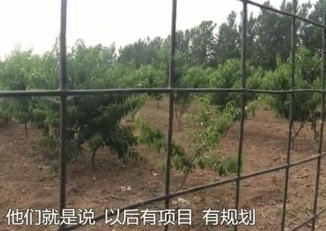 桂东▲男子投资2000万建养猪场,到最后一道手续遭拒,负责人:只要动工我就查你