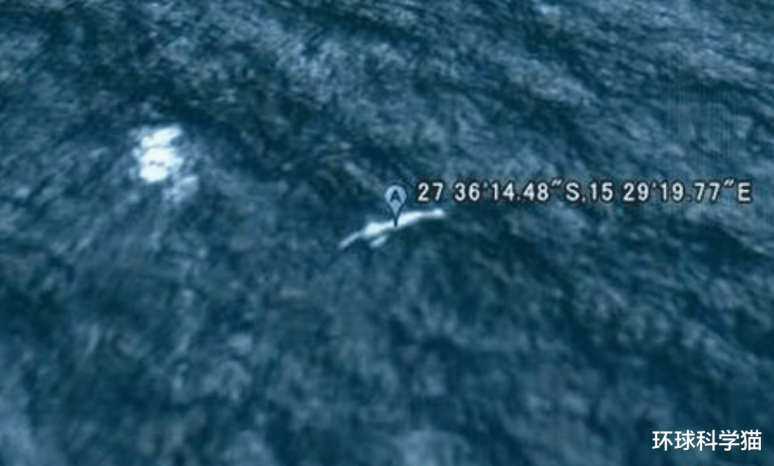 南极洲|至少有30米高，南极神秘物种ningen真的存在吗？