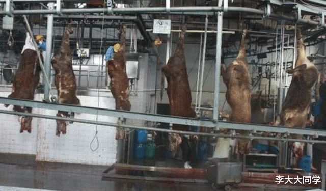 美国：“反华先锋”出现难题，大批牛肉面临腐烂，无奈向美国求助被拒