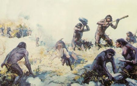 昆虫|为什么动物幼崽都不会嚎啕大叫, 而人类幼崽会?