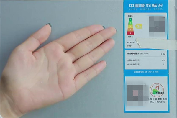 @家里再有钱，这4种冰箱也别买，很多人不听劝，用久了才知是个坑