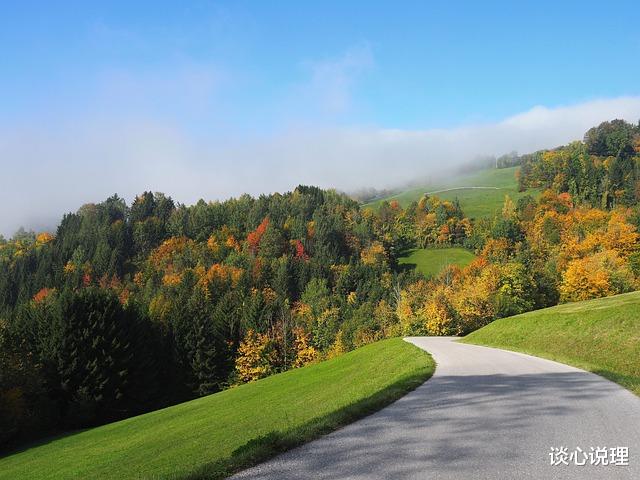 生肖|11月，桃花入命，姻缘上上签，3星座邂逅真爱，携手坠入爱河