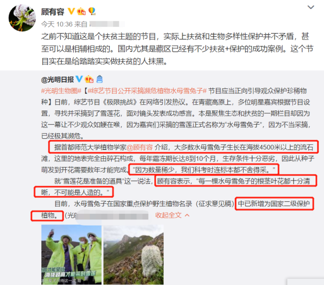 兔子|刘宇宁摘水母雪兔子惹争议，本人称是道具，植物学家揭开真相