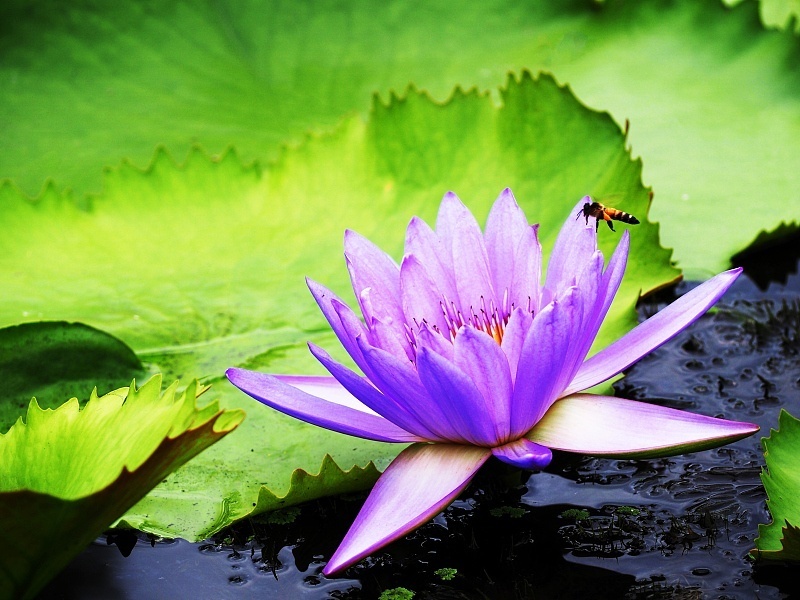 属鸡|9月17日财神爷送财，3生肖横财大发，天天数钱，要发大财啦！