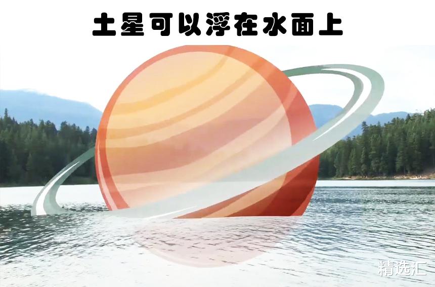 蜘蛛：可能会让很多人意想不到的10个冷知识