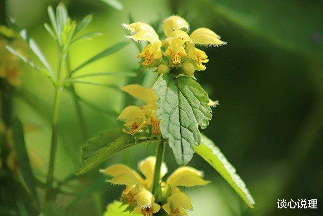 「巨蟹座」6月，兜兜转转，他未娶，你未嫁，3星座邂逅旧爱，余生执手天涯