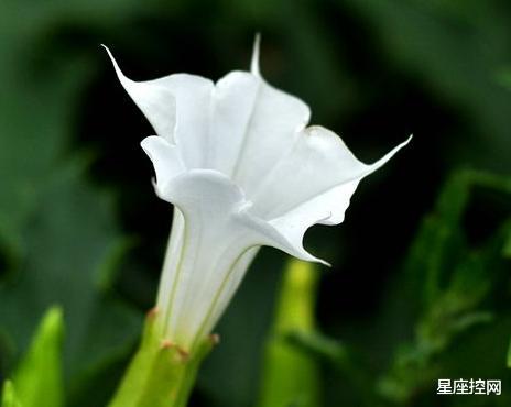 ：农历哪些月份出生的人，靠自己成才的潜力黑马，前途不可限量