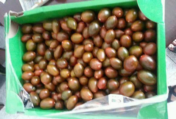 星月菩提|文玩乐趣多：45mm顺白高密正月星月菩提