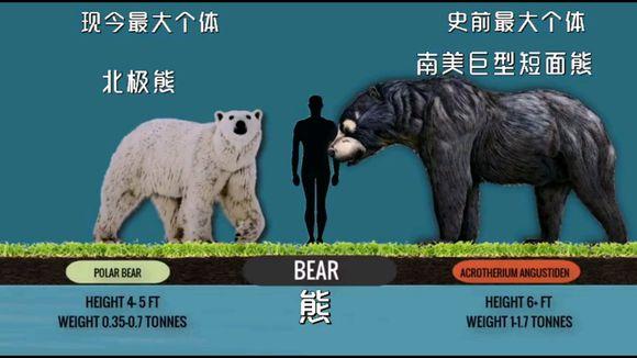 @古今各动物科最大生物对比