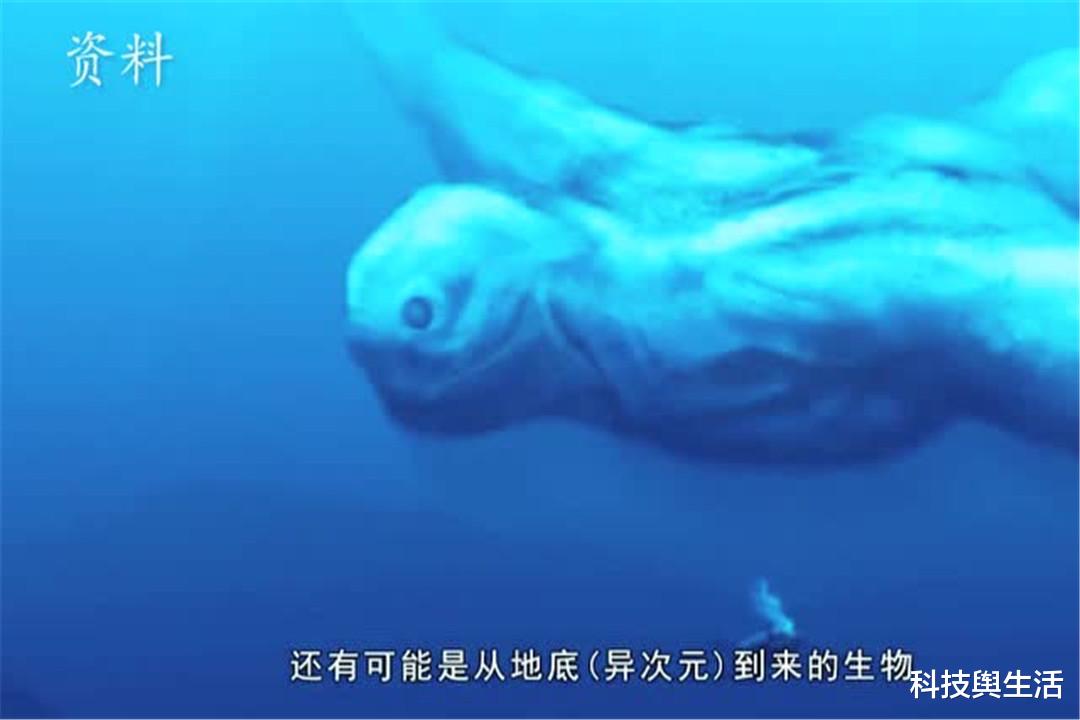 南极|南极出现“鲸鱼人”，可能与人类化学实验有关，会带来什么影响？