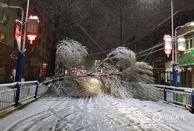 『大熊猫』南方暴雨又“扎堆”台风“黄蜂”拐去哪儿？