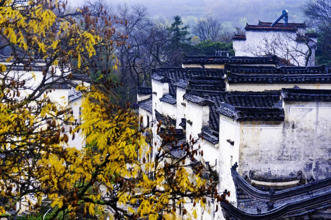 [徽州]比婺源美10倍！这座徽州小村，光看图已醉