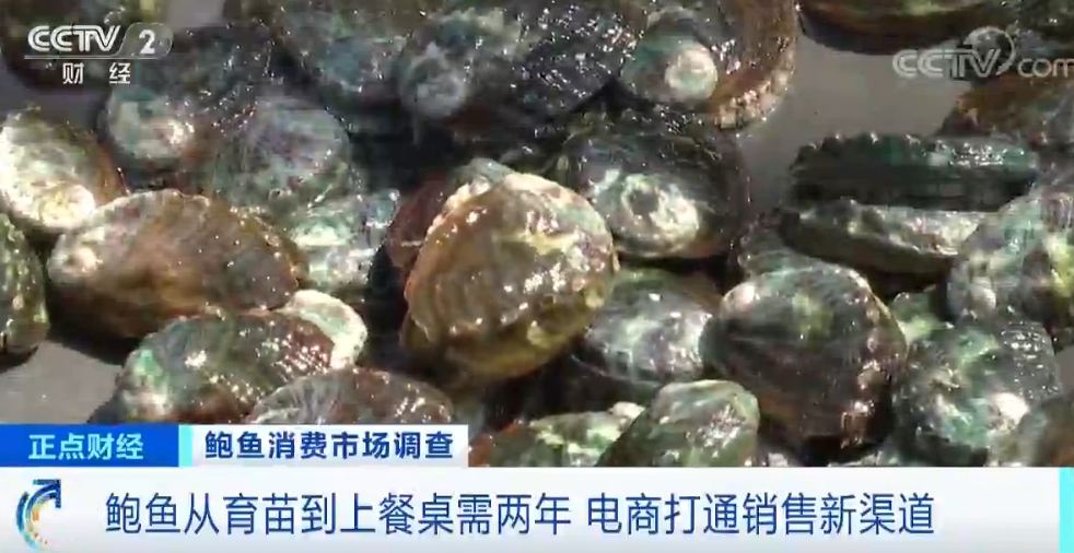 浙样的生活|大跌！一斤只要20元？浙江人爱吃的这菜价格“腰斩”！