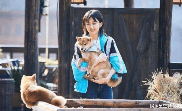 「张子枫」《跑男》邀请张子枫3次都被拒绝?她每次都说这6个字,难怪这么火!