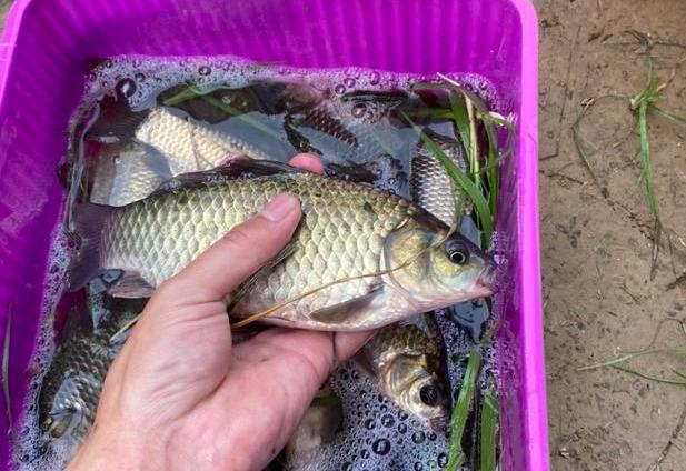 饵料|不打招呼就提鱼护？遇到这种人别客气！