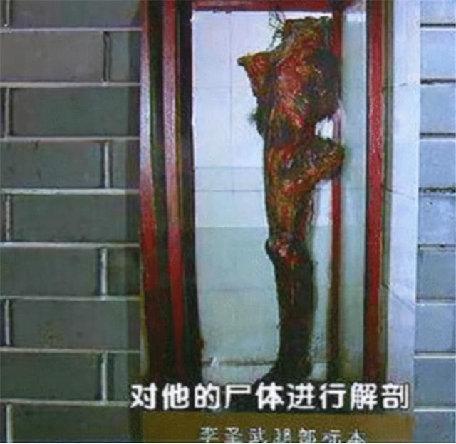 历史揭秘|燕子李三真能飞檐走壁？一条保存至今的大腿，说明了所有问题