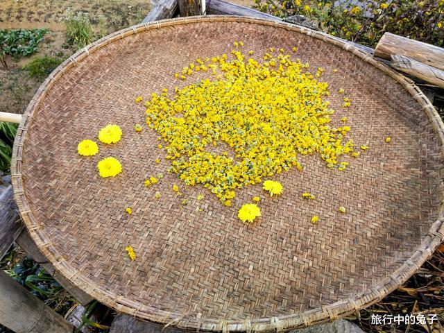 「桃花源」“桃花源”般古村，藏于皖南秀丽山峰之巅，村民至今保留古老传统