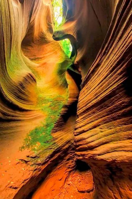 新疆维吾尔自治区|世上最美的峡谷，就在中国！