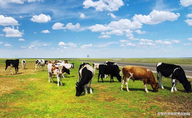 十二星座|7月中旬过后，4属相大运到来，日子越过越红火，财喜两旺